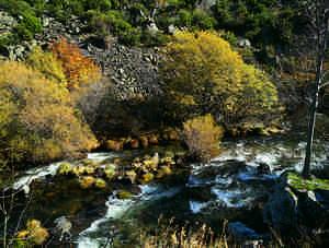 Ruta del río Pedroso y el Valle de Valdelaguna